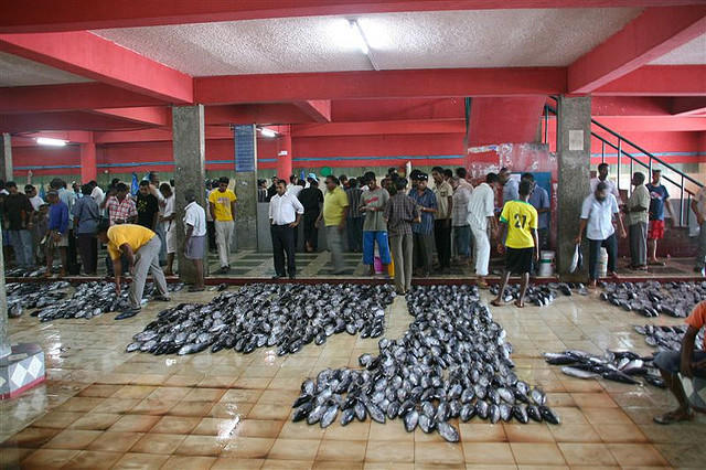 إيليت بيتش إن هولهومالي المظهر الخارجي الصورة